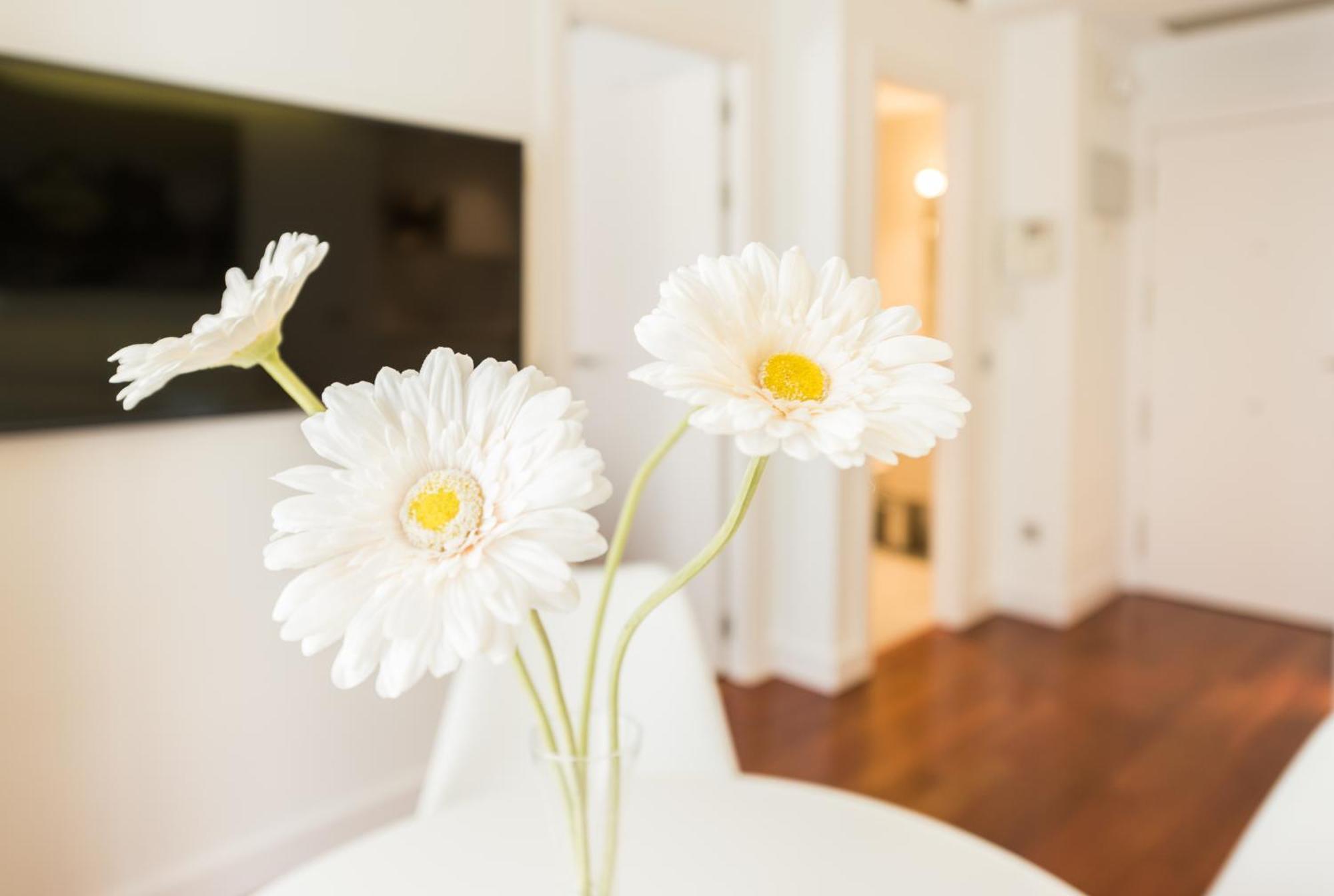 Santa Ana Plaza Apartment Madrid Room photo